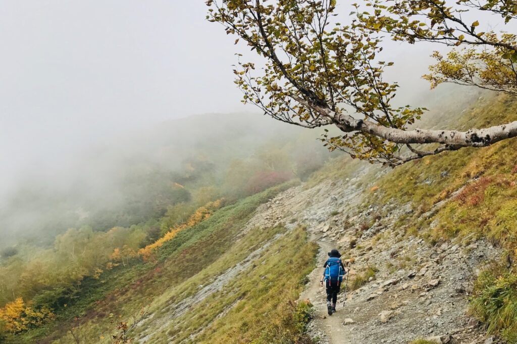 ガスの中、紅葉の八方尾根を登っていく登山者