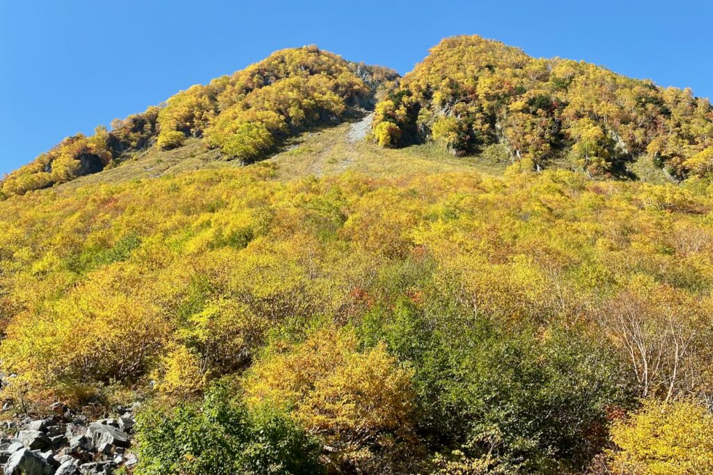 黄葉に覆われた涸沢手前の登山道を見上げる