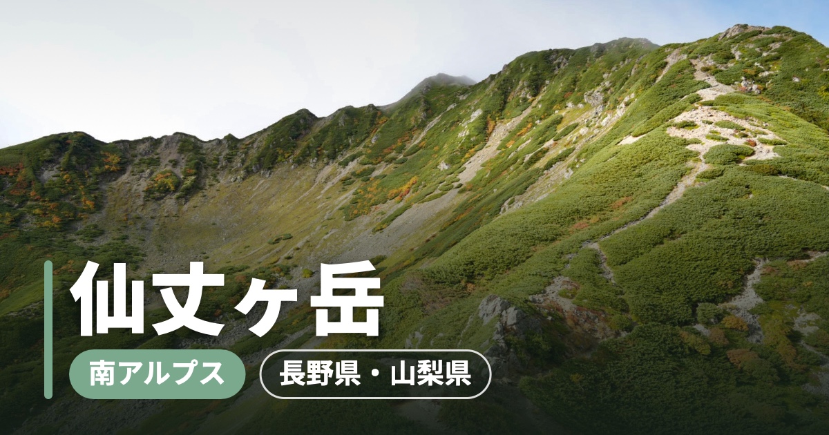 【仙丈ヶ岳】南アルプスの女王に1泊2日で登った話