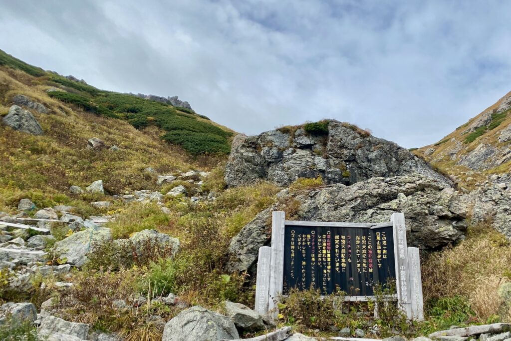 ライチョウが特別天然記念物であることを伝える白馬山国有林の看板