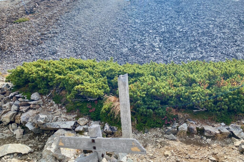三国境の分岐に立つ木の道標