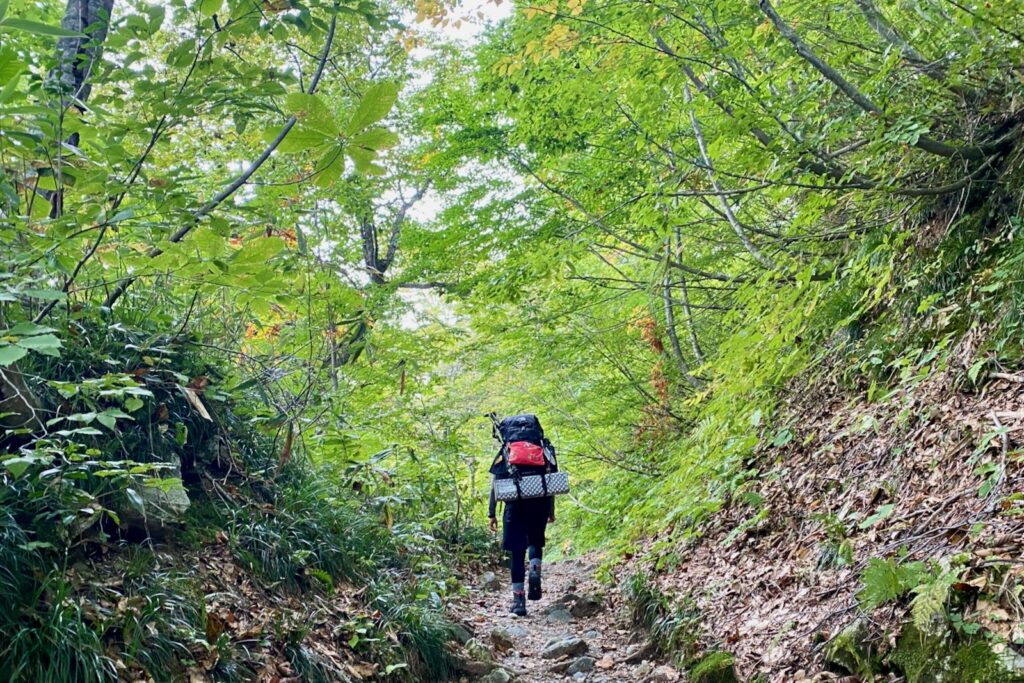 緑の樹林帯の登山道を歩くテント泊装備の登山者
