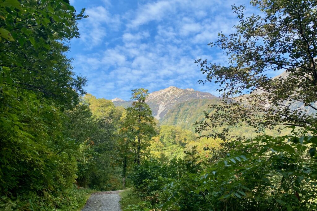 林道から見えた白馬の山並みと青空