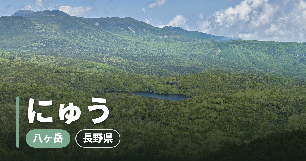 【にゅう】苔の森と絶品揚げパン！白駒荘に泊まるゆるゆる北八ヶ岳
