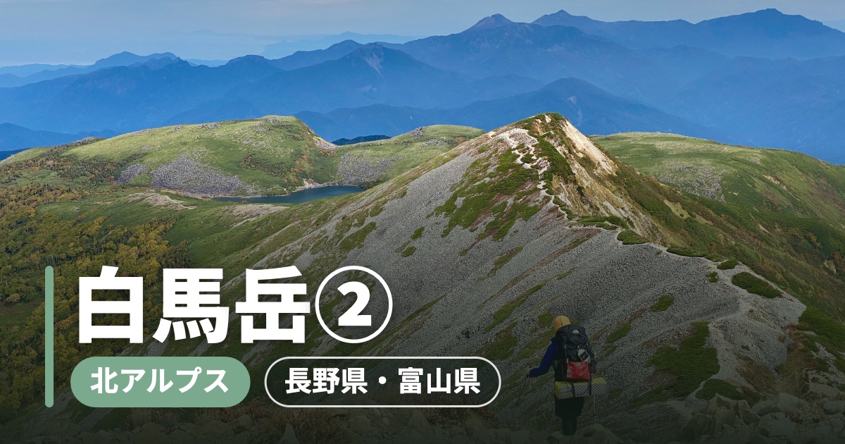 白馬岳②の登山記事のアイキャッチ画像