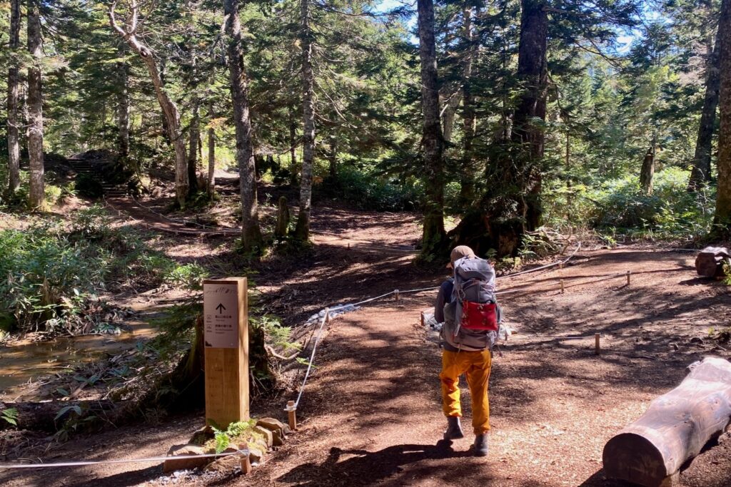 西穂山荘へ樹林帯の登山道を進む