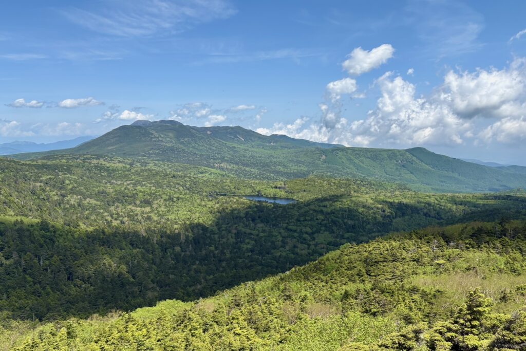 にゅうから望む北八ヶ岳の緑の山並み