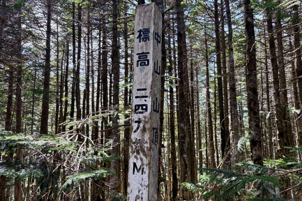 樹林帯に立つ標高の標柱