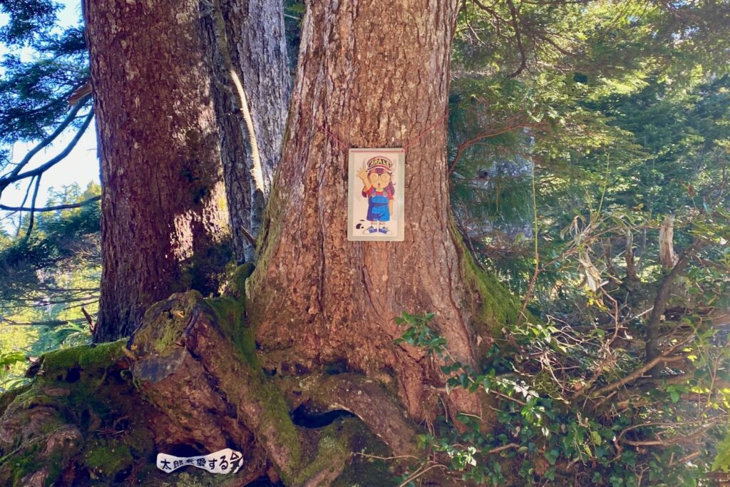 折立名物・アラレちゃんの看板がある大木